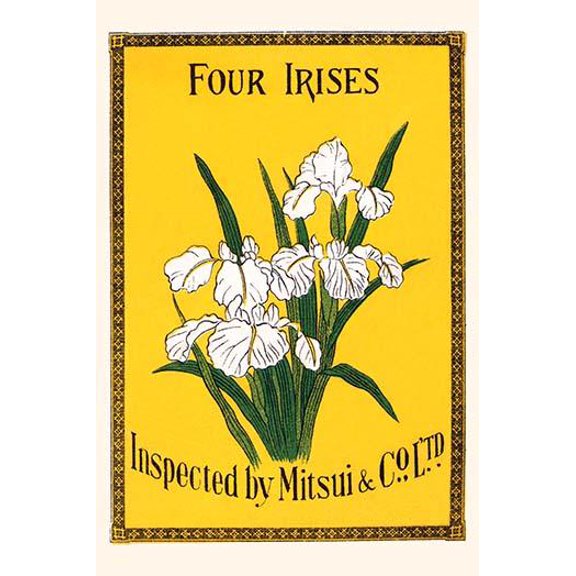 Four Irises-Fine Art Canvas Print (20" x 30")