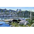 thumbnail image 2 of Tift, Jeff 14x10 Gold Ornate Wood Framed with Double Matting Museum Art Print Titled - Black Bear, 2 of 4