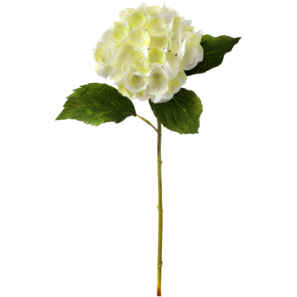 Hydrangea Stem 19"Cream/White Walmart Canada