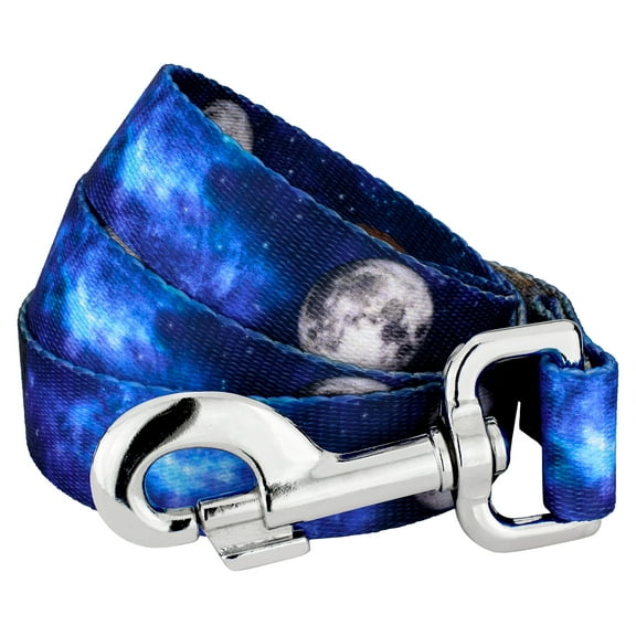Country Brook Petz® 5/8 inch Galactic Neighbors Dog Leash Limited Edition, 4 Foot