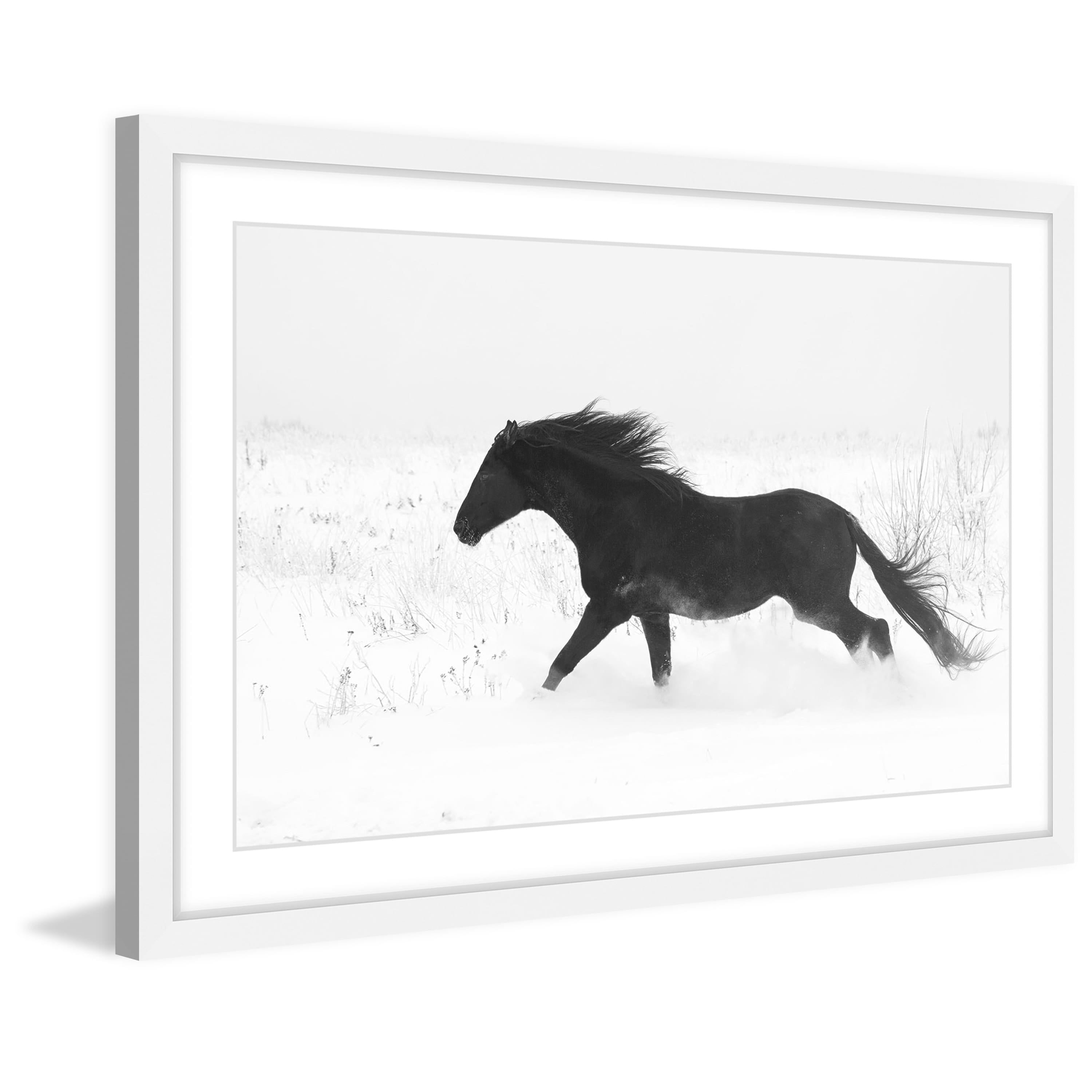 Marmont Hill "Jet Black" Framed Painting Print