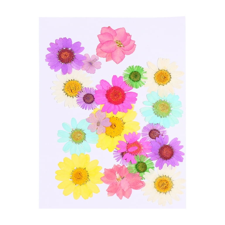 NUOLUX Flowers Pressed Dried Flower Sheet Nail Multiple Colorful