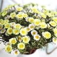 thumbnail image 3 of Gwong Decoración hogareña Artesanía falsa artificial Daisy Flower Ramo de bodas Decoración de fiesta de boda 8 cabezas Gwong 8109237, 3 of 6