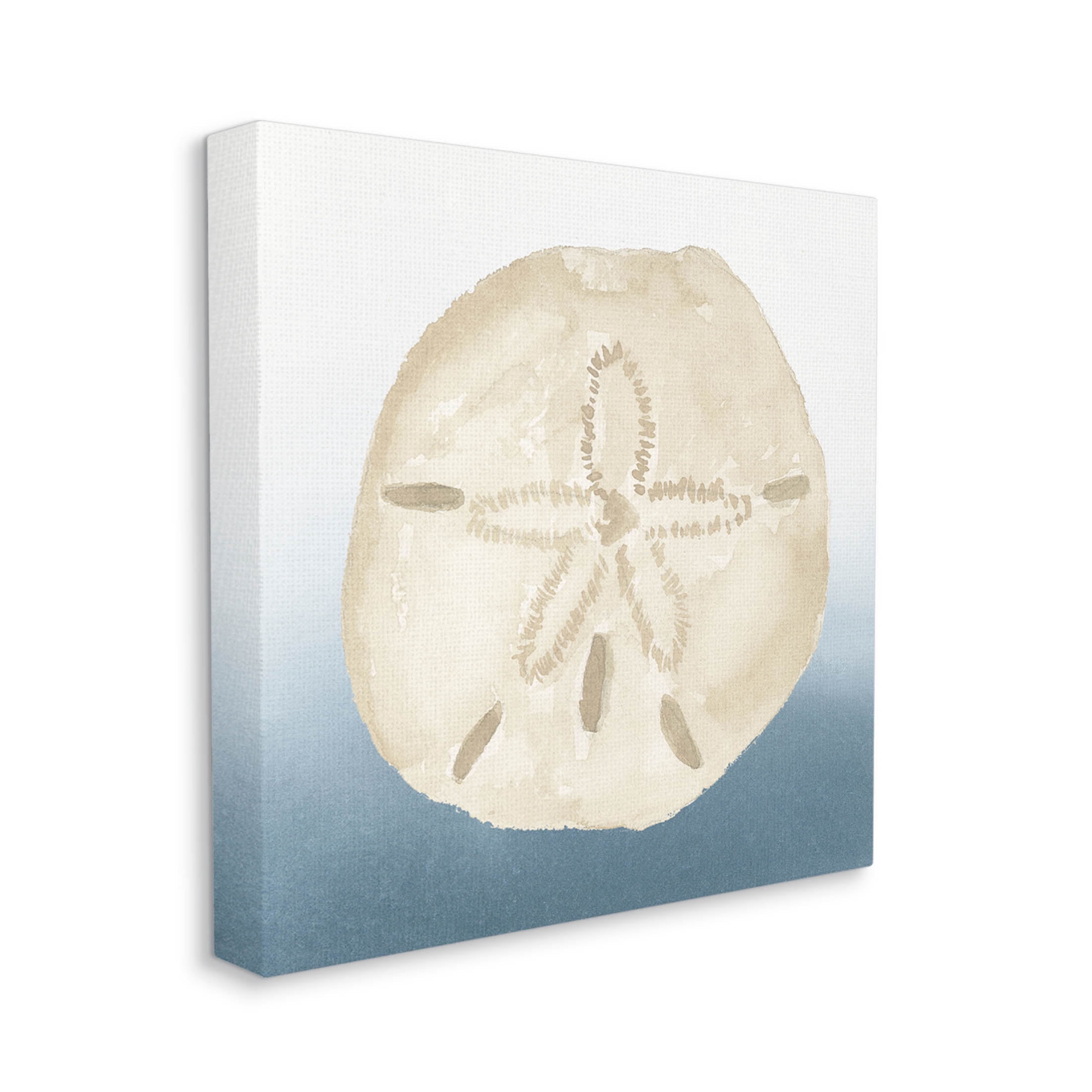Beige Sand Dollar Seashell Animals & Insects Graphic Art Gallery Wrapped Canvas Print Wall Art