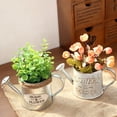 thumbnail image 5 of Retro Water Bucket Sprinkler Pot Iron Flower Pots Metal Vase Home Garden Decor, 5 of 10