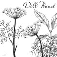 thumbnail image 2 of Sophie 6 20x20 Black Ornate Wood Framed with Double Matting Museum Art Print Titled - Flowering Herbs Dill Weed, 2 of 4