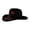 Black-W9, variant on Homeyce 250 Years Later USA 250th Anniversary Cowboy Hat 1776-2026 Patriotic Western Hat,Black