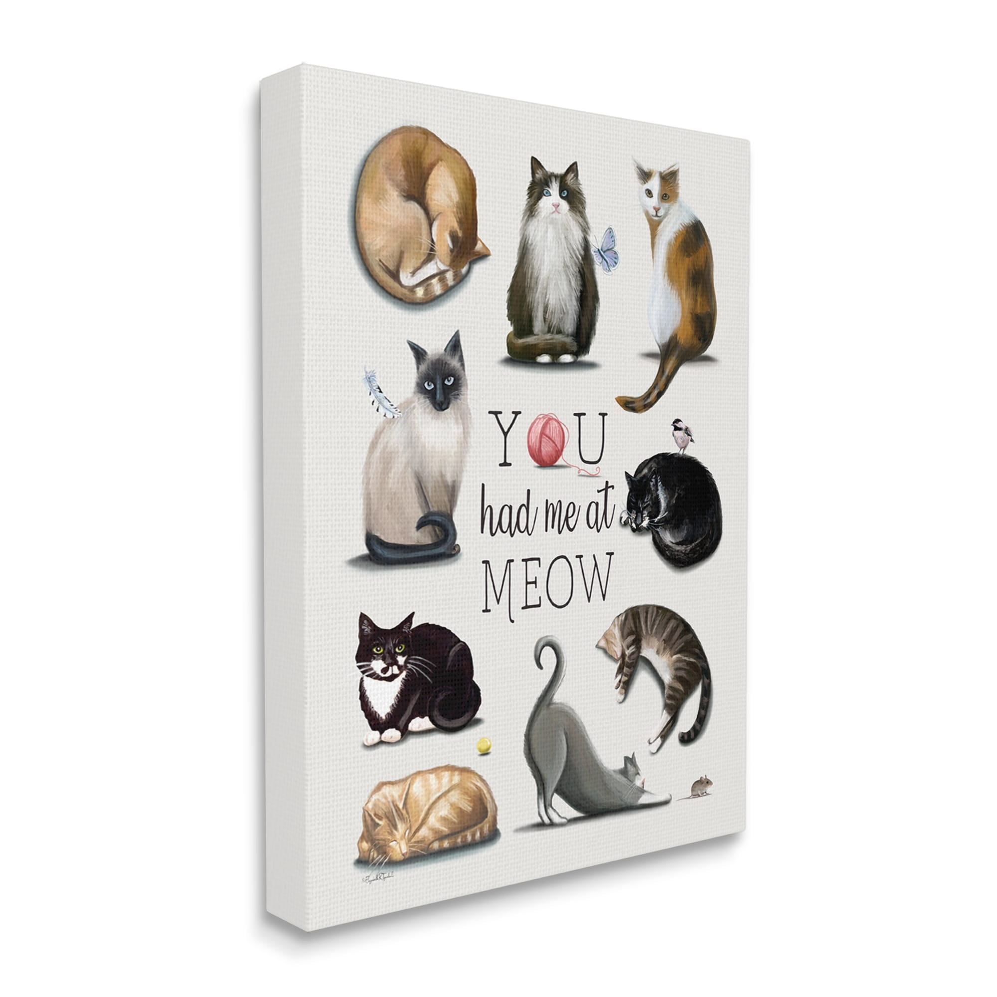 Stupell You Had Me At Meow Cat Pet Animals & Insects Painting Gallery Wrapped Canvas Print Wall Art