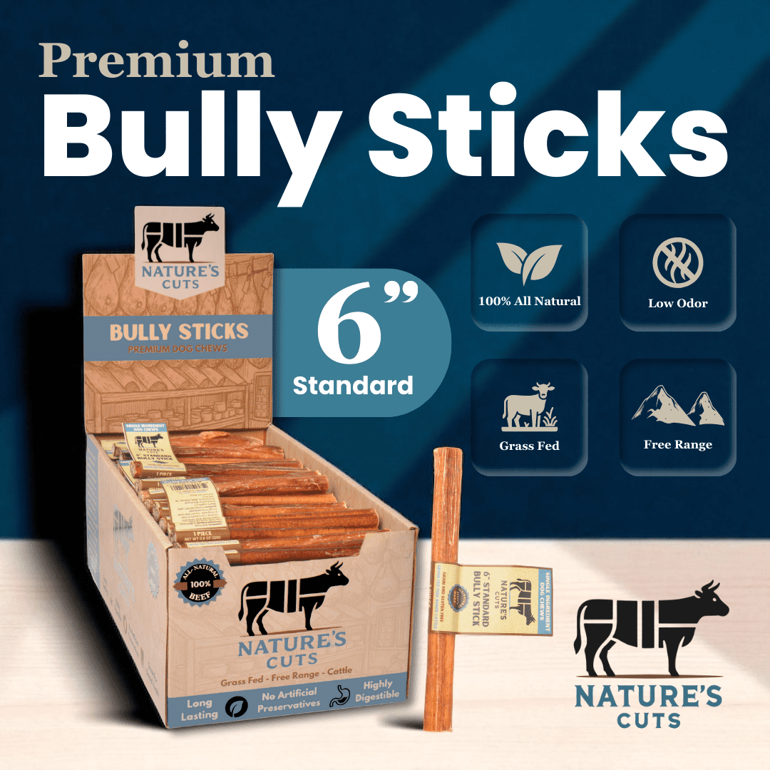 6" Standard Bully Sticks Display Box (100 ct) with Individual UPC Tags - 100% All Natural Beef