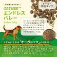 thumbnail image 4 of gather ENDLESS VALLEY Vegan Recipe Dry Dog Food - 6 LB. BAG, 4 of 7