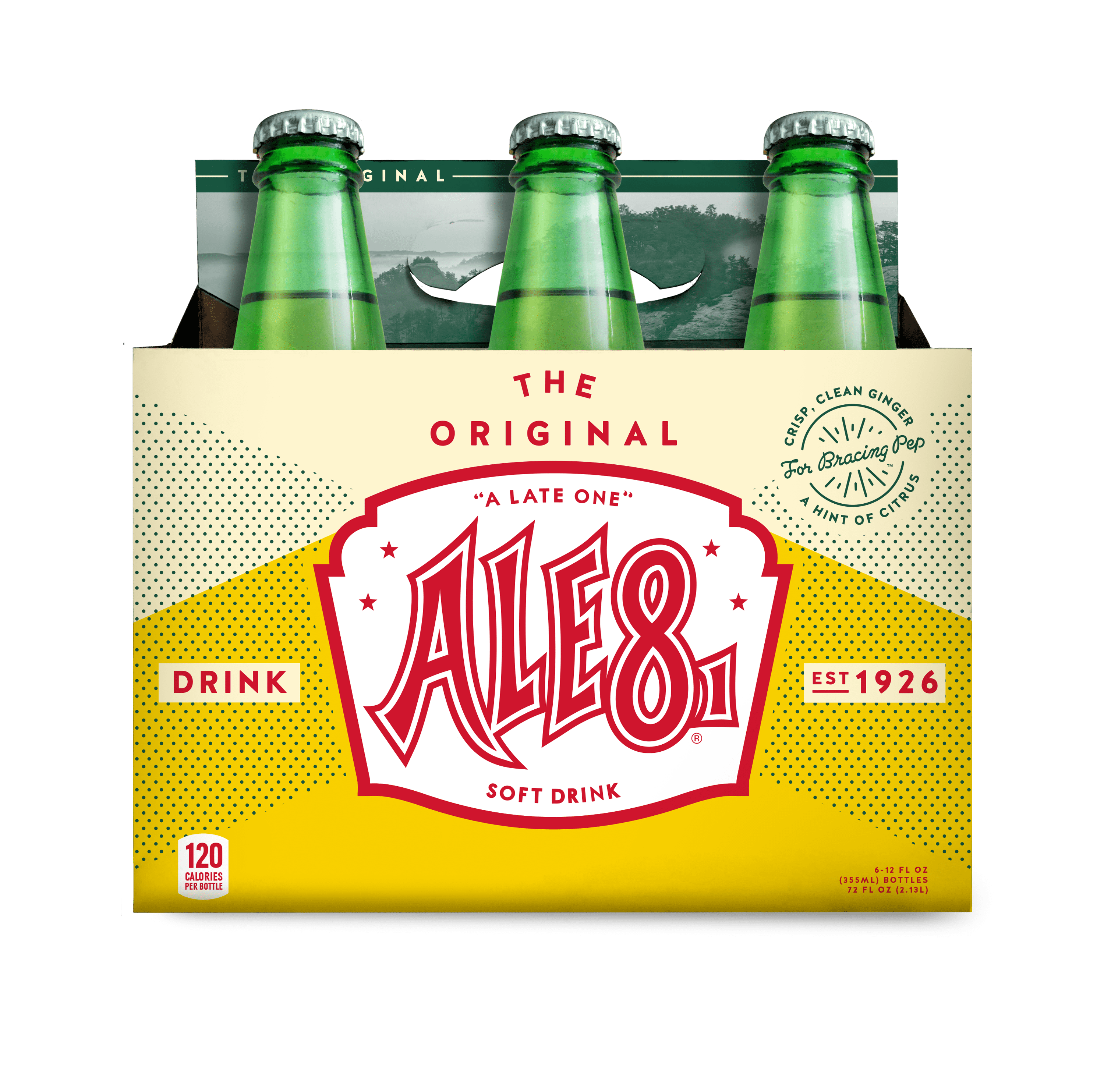 Ale8One Original Ginger Ale Soda Pop, 12 Fl Oz, 6 Pack Bottles