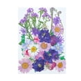 thumbnail image 1 of Agiferg Real Dried Presse Flowers Leaves Natural Set with Butterfly Stickers, 1 of 8