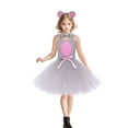 thumbnail image 3 of MKOSPLRT 4 Piece Holiday Animal s for Kids Girls 3-12Y Little Mouse Cosplay Mesh Swing Dance Performance Party Outfits, 3 of 10