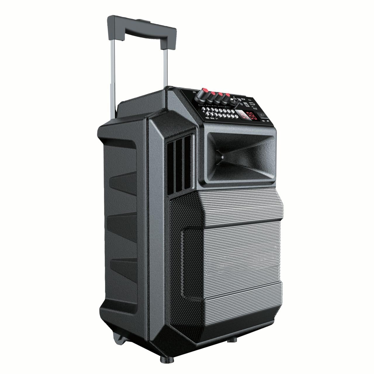 8" Portable Bluetooth DJ Speaker