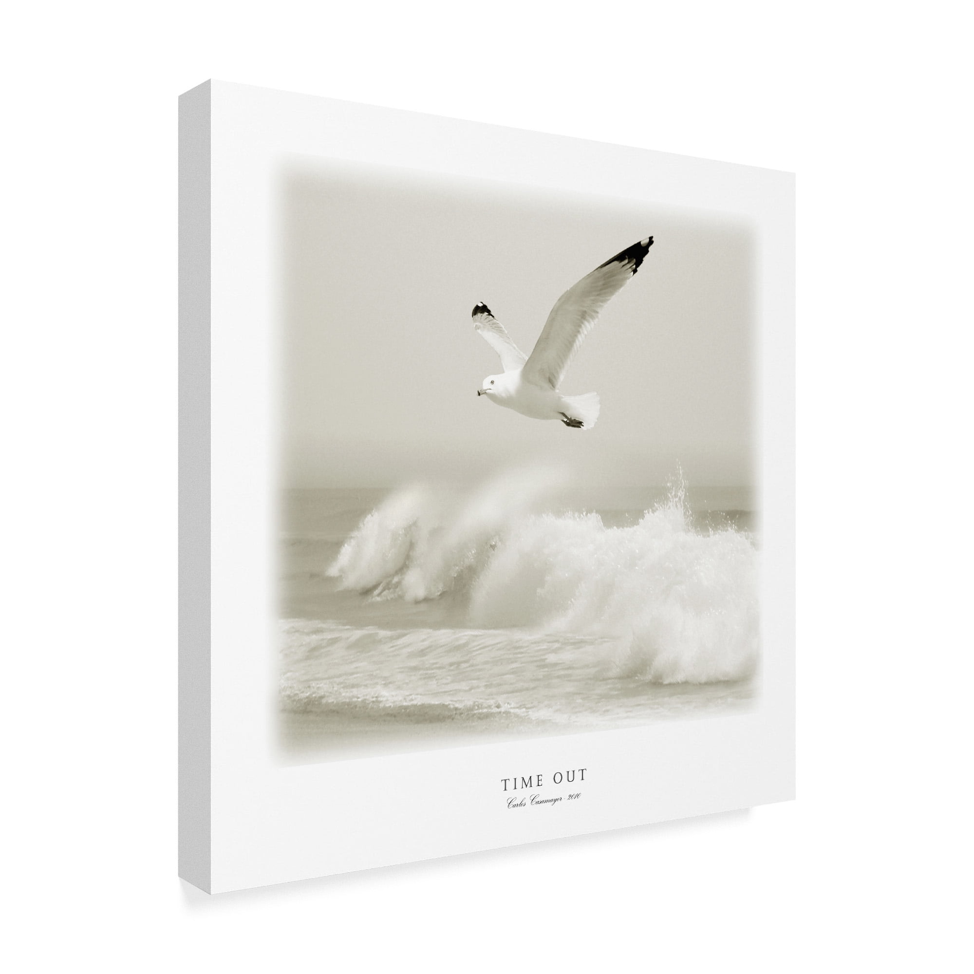 Trademark Fine Art 'Time Out 4' Canvas Art by Carlos Casamayor