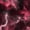 Black Dark Red, variant on Erosebridal Purple Storm Lightning Queen Sheets,Dark Clouds Pattern Queen Sheet Sets,4-Piece,1 Flat Sheet,1 Fitted Sheet and 2 Pillowcases