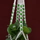 thumbnail image 4 of leyfeng Colgador de plantas de macramé, soporte de maceta decorativo tejido, maceta colgante para interiores y exteriores, cesta de algodón hecha a mano, 4 of 6