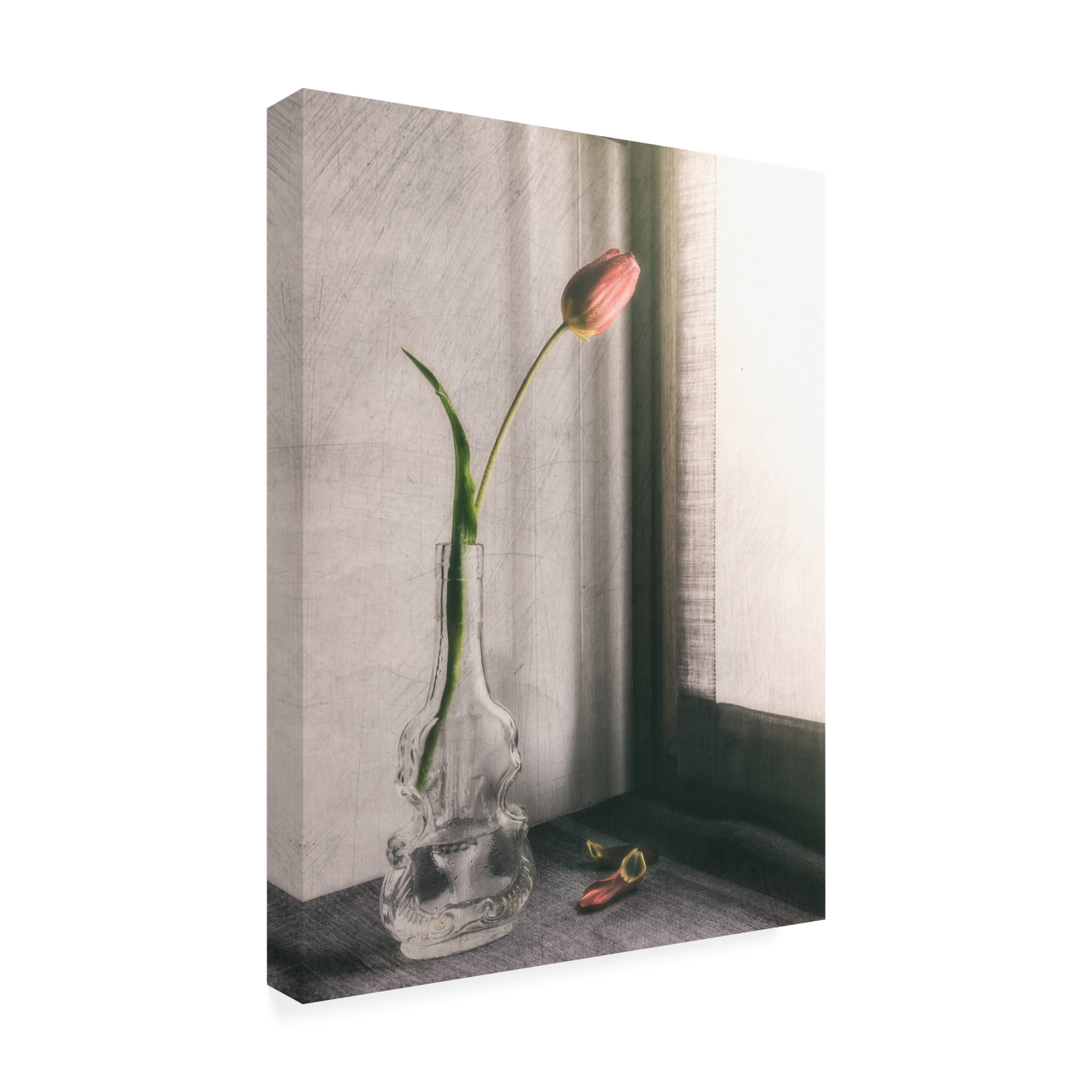 Canvas Wall Art - Cristiano Giani 'Melanchonic Mood' Wall Art for Living Room, Bedroom, or Office Décor by Trademark Fine Art - 14 x 19 Inches