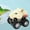 G, variant on Chmadoxn Car Toy Dinosaur Toys for Boys 3 4 5 Year Old Boys Pull Back Truck Toddler Cars Vehicles Monster Dino T-Rex Birthday Gift for Age 6 7 Kids