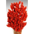 thumbnail image 2 of Dried Phalaris Grass - Canary Grass Large 4-6 oz bunch 16-18in. long -- Single Bunch - Berry, 2 of 5
