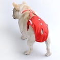 thumbnail image 6 of HQREA Pet Breathable Physiological Pants Diapers with Adjustable Suspender & Washable Reusable, 6 of 7