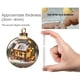 thumbnail image 4 of Rapeiae Natural Wonders Series Christmas Ball Flat Acrylic Pendant, 4 of 5