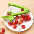 thumbnail image 4 of Cherry and Olive Pitter, Stainless Steel Cherry Pitter, Cherry and Olive Pitter, Cranberries, Cherry Pitter or Stoner, Pitter Extractor, Fruit Tool Creative Kitchen Gadgets, 4 of 5