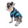 thumbnail image 1 of Suéter Punto Azul Perro Rayas Ligero Talla 1 Pet Pals, 1 of 3