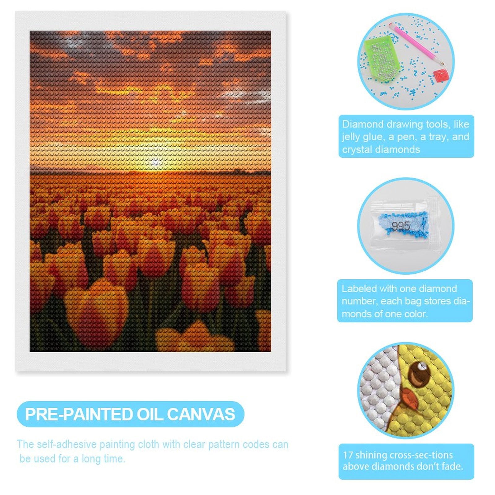 Diamond Art Kits for Adults, Sunset Tulip Field Glow 5D Diamond Painting Kits for Adults Beginners, DIY Full Drill Diamond Painting, Gem Art and Crafts 12x16