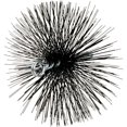 thumbnail image 2 of Meeco 30800 Brosse de Cheminée Ronde en Fil de Diable de 8 Po, 2 of 4