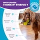 thumbnail image 4 of Juguete para Perros Outward Hound Verde Interactivo y Duradero, Grande, 4 of 8