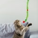 thumbnail image 5 of Juguete interactivo de peluche para gatos con campana para gatos de interior, cuerda colorida, juguete interactivo para gatitos, para uso doméstico y exterior, 5 of 8