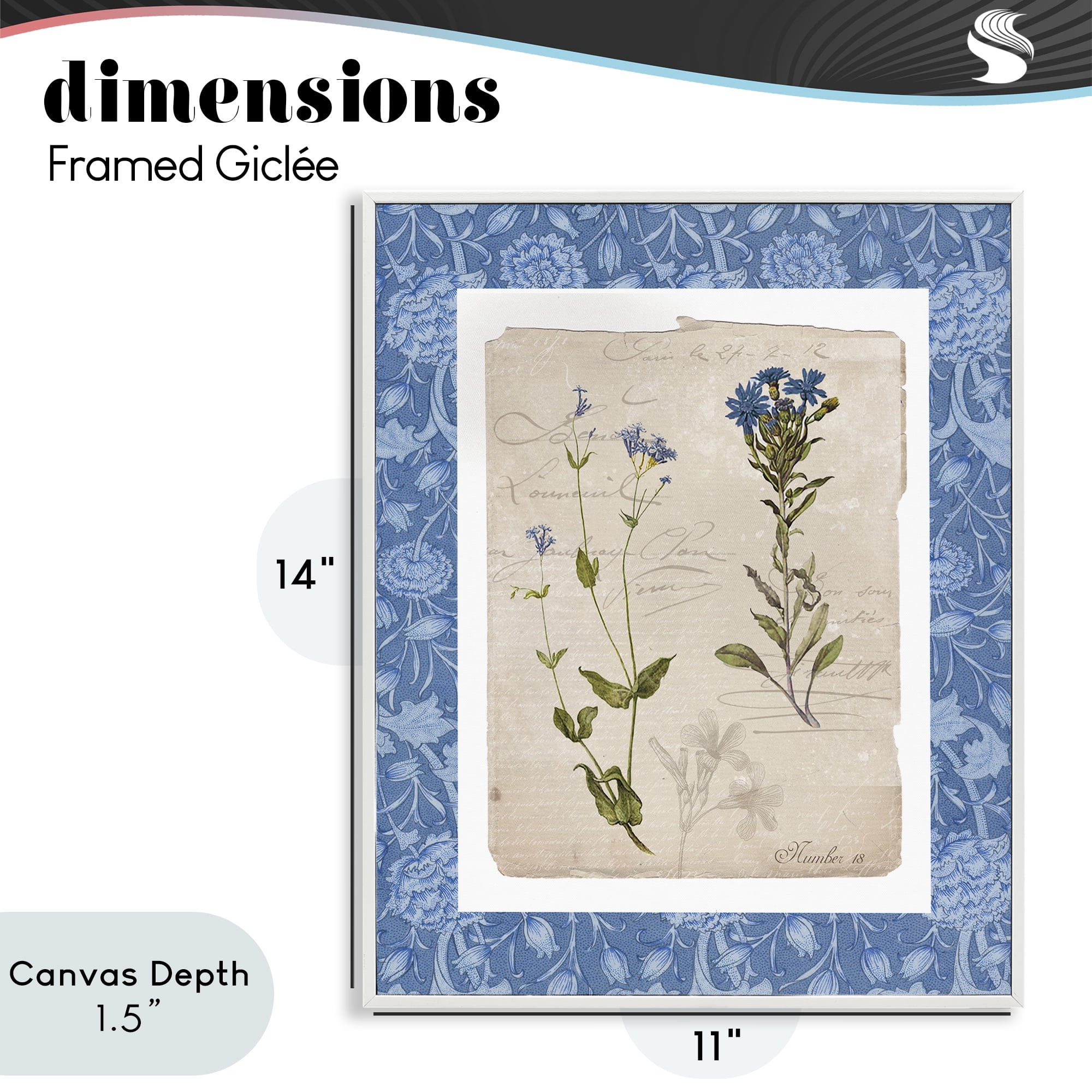 Stupell Industries Blue Vintage Botanicals White Framed Giclee Art, design by Livi Finn