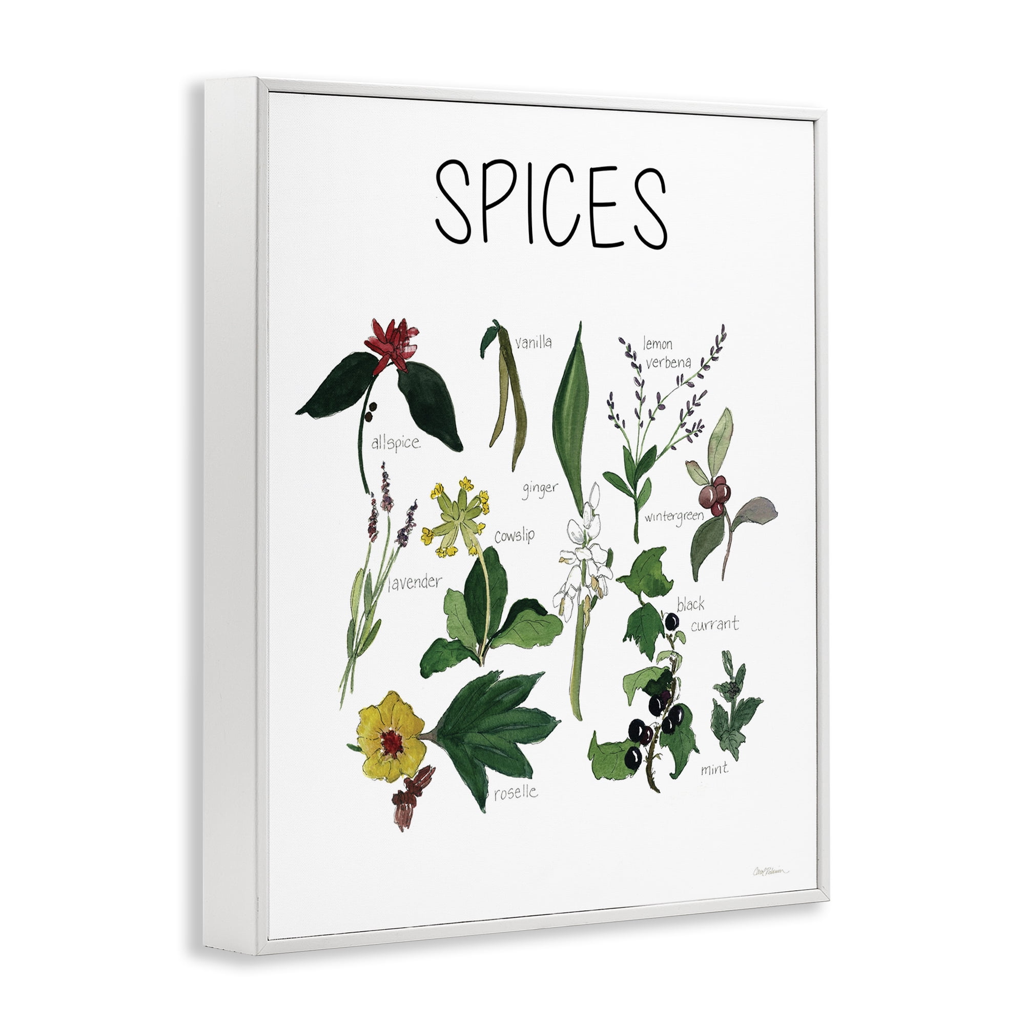 Stupell Industries Spices Identification Chart White Framed Giclee Art, design by Carol Robinson