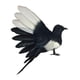 thumbnail image 1 of Pájaro de simulación de urraca, artesanías de pájaros artificiales, figuras de pájaros realistas para arte de jardín Alas extendidas de 18 cm., 1 of 9