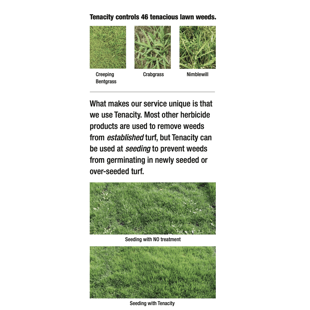 Syngenta Tenacity Herbicide Pre-Emergent Broadleaf Weed Grass