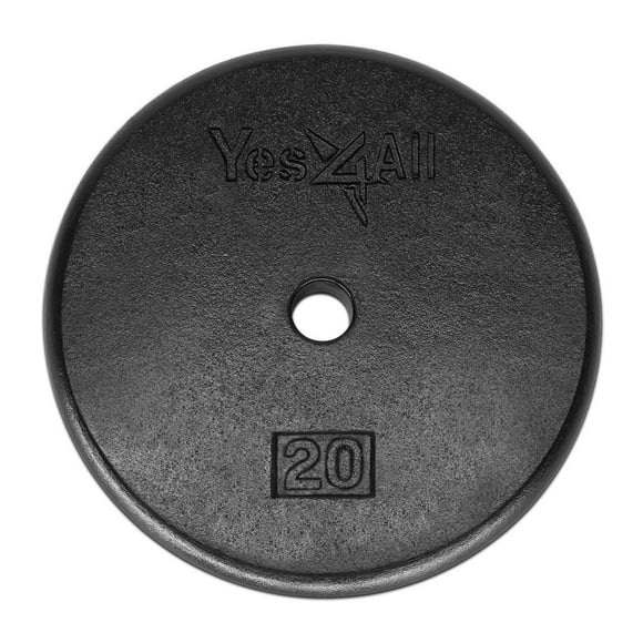 Yes4All 1-inch Cast Iron Weight Plates for Dumbbells â€“ Standard Weight Disc Plates (20 lbs, Single)