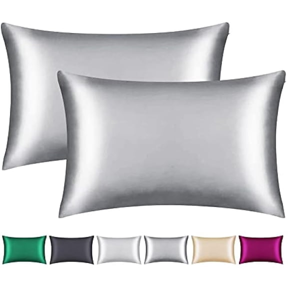 Eryueer - Pack of 2 100% Mulberry Silk Pillowcases, Great for Hair and Skin with Hidden Zipper, 22 Momme Natural Silk Pillow Case on Both Sides, Soft, Breathable and
