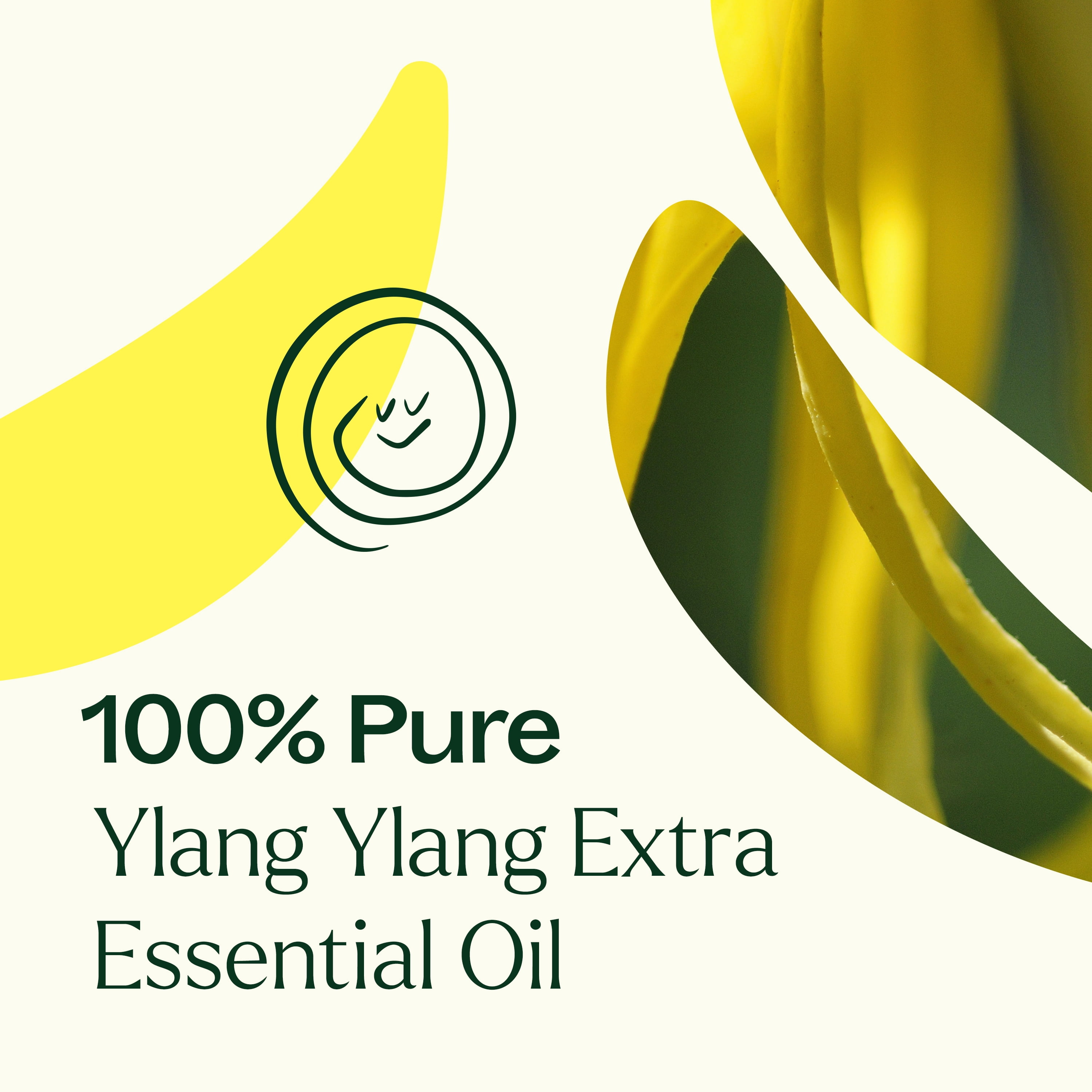 Plant Therapy Ylang Ylang Extra Essential Oil 30 mL (1 oz) 100% Pure, Undiluted, Natural Aromatherapy, Therapeutic Grade