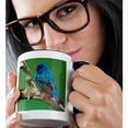 thumbnail image 2 of 3drose, Male Indigo Bunting, Close-up, 15oz Two-tone Black Mug, 2 of 6