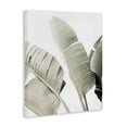 thumbnail image 2 of Stupell Industries Tropical Muted Banana Leaves Canvas Art, 30 x 40, by Sisi and Seb, 2 of 7
