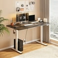 thumbnail image 4 of FunniHomi 55" x 28" Electric Height Adjustable Standing Desk with Hooks, Whole-Piece Desktop Cable Management Tray, and Built-in Power Outlet, Ergonomic Sit-Stand Desk for Home Office(2 Packages), 4 of 10