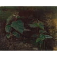 thumbnail image 2 of Torsten Wasastjerna 18x15 Black Ornate Wood Framed Double Matted Museum Art Print Titled - Tree Plants, Sketch for the Painting Fairy Tale Princess (1895 - 1896), 2 of 5