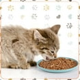 thumbnail image 6 of Qweryboo 8 Pcs Whisker Friendly Fatigue Cat Bowl, Shallow Cat Food Dish Wide Cat Wet Feeding Bowls, Pet Plates for Kittens and Short Legged Cat, 6 of 7