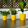 thumbnail image 6 of EPFamily 8 Inch Yellow Ceramic Planter with Drainage Hole and Saucer – Modern Flower Pot for Indoor Plants, Snake Plants, Herbs, 6 of 8