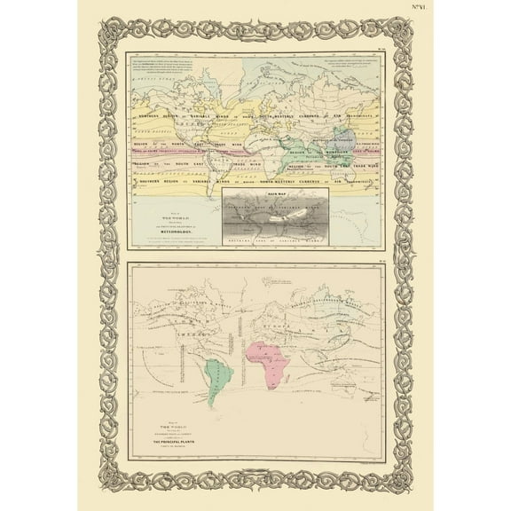 Historic Map - Meteorology Priniciple Plants  - Vintage Wall Art