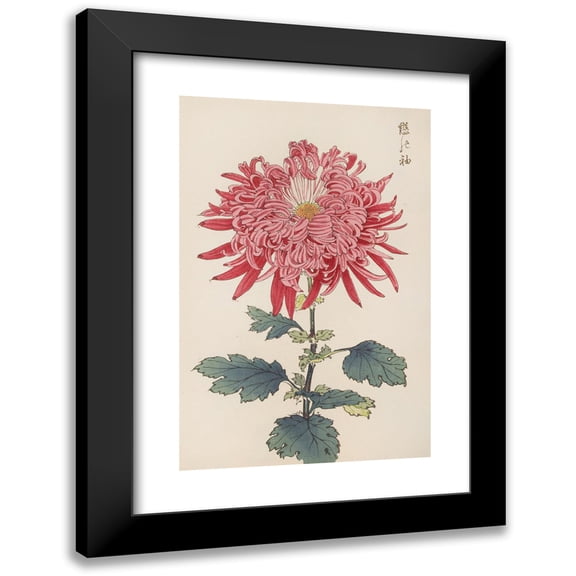 Keika Hasegawa 11x14 Black Modern Framed Museum Art Print Titled - Keika Hyakugiku, Pl.24 (1893)