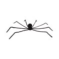 thumbnail image 2 of Teissuly Clearance Halloween Spider Motion Voice Activated, Outdoor Halloween Decorations Scary Spider Fake Hairy Spider Props For Halloween Yard Creepy Party Decor(Without Net)(Black, ) Teissuly WER202308290270, 2 of 7