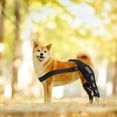 thumbnail image 1 of Qiaoxi Pet Dog Knee Brace Adjustable Size Reflective Design Elastic Shoulder Strap Hind Legs Protective Cover, 1 of 7