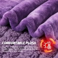 thumbnail image 5 of PMONPA Electric Heated Blanket, 51"x61" Heating Blanket for Adult, Soft Flannel & Sherpa, 10 Heating Levels & 1-8 Hours Auto off, Purple, 5 of 7